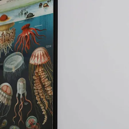 Apartment Chez Meme Gernoaze - Unique 2 Bedroom Flat