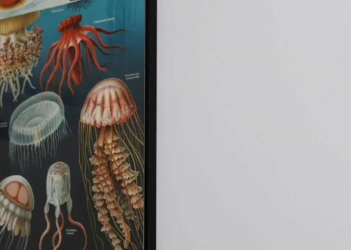 Appartement Chez Meme Gernoaze - Unique 2 Bedroom Flat